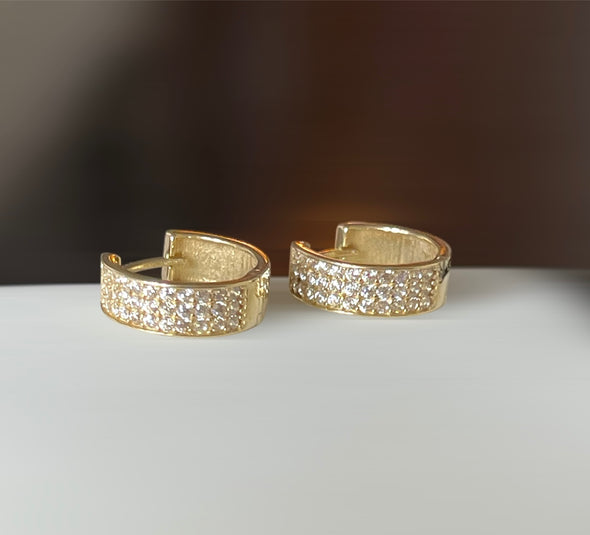 Huggie earrings