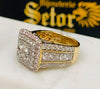 Diana Diamond ring DER052 - Bijouterie Setor