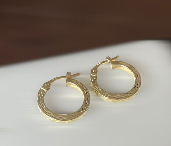 Small hoop earrings
