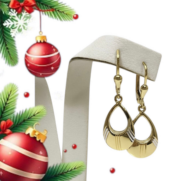 Penny dangling earrings