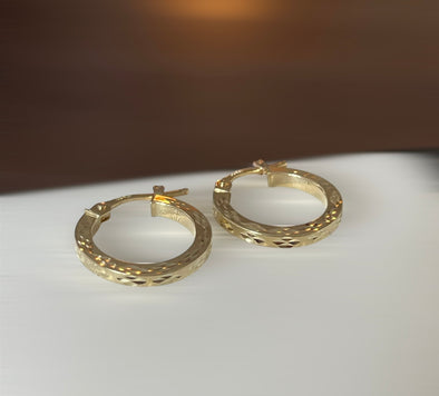 Small hoop earrings