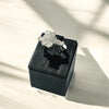 Sisi platinum ring