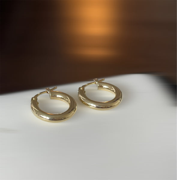 High polish earrings