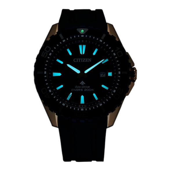 Promaster Dive by citizen