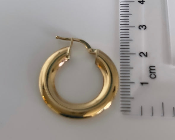Flat hoop earrings E283 - Bijouterie Setor