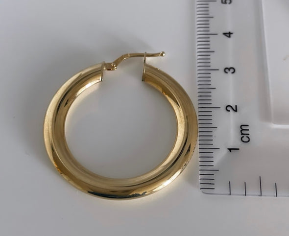 Flat hoop earrings E283 - Bijouterie Setor